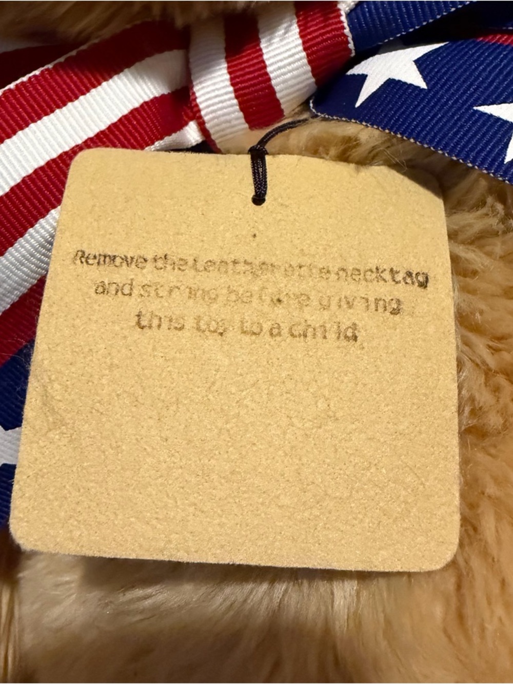 2002 Gund WISH BEAR Plush 100Th Anniversary of The Teddy Bear LARGE 26" - Picture 10 of 14